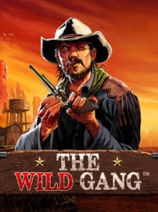 The Wild Gang